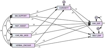 Curiosity saved the cat: socio-emotional skills mediate the relationship between parental support and career exploration